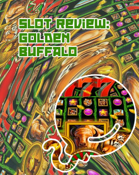 Buffalo casino slots